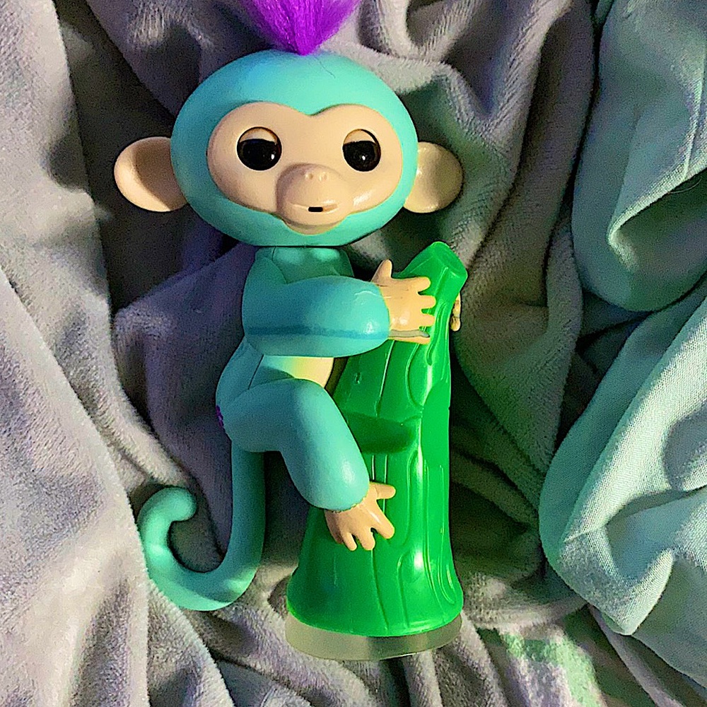 Fingerling Top (With Stand)